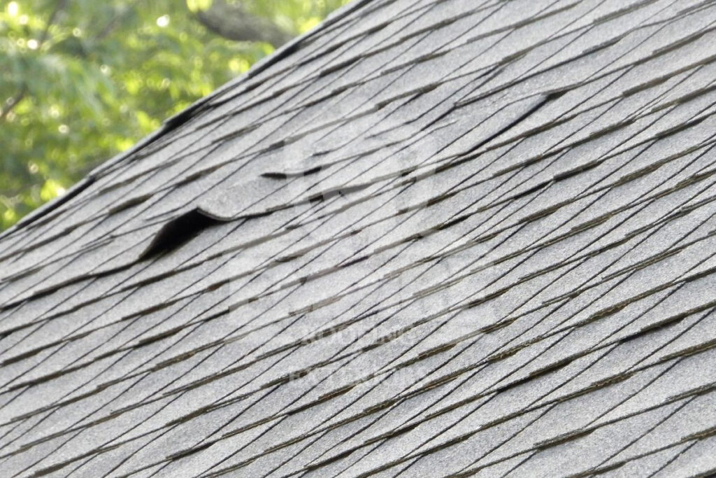 Wind Damage To Shingles Wind damaged shingles