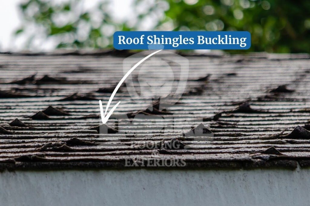 Roof Shingles Buckling What causes roof shingles to buckle