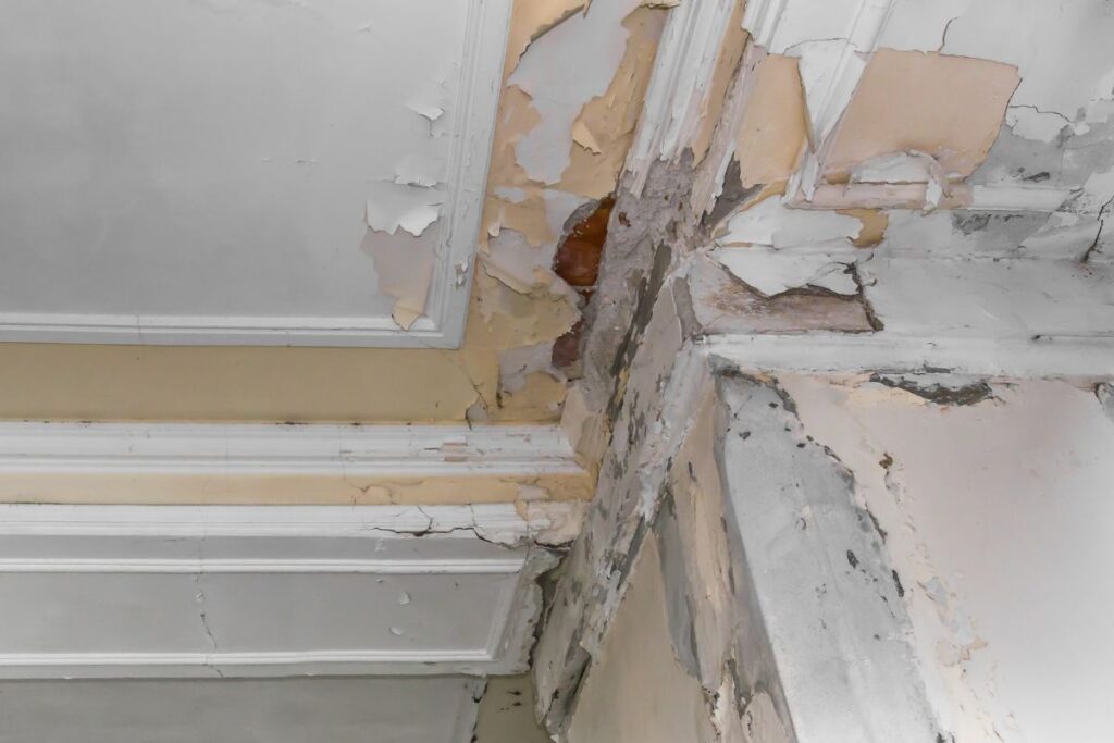 What Are The Consequences Of Not Fixing A Leaking Roof Damage to ceilings and walls